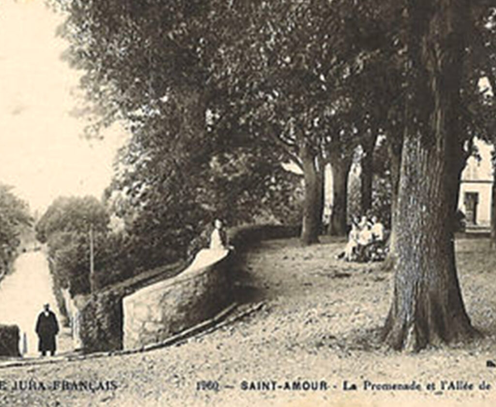 Promenade de l'Allée de Nice - Saint Amour