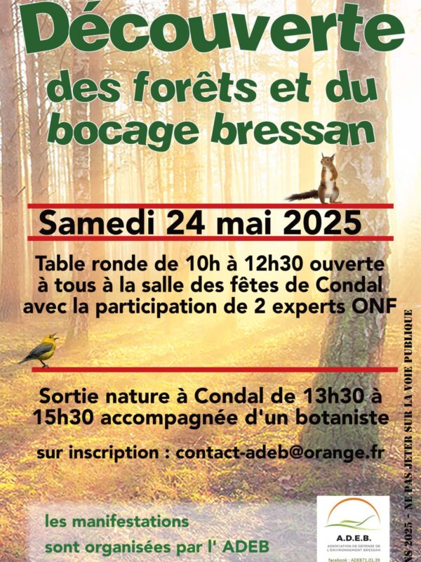 affiche forêt